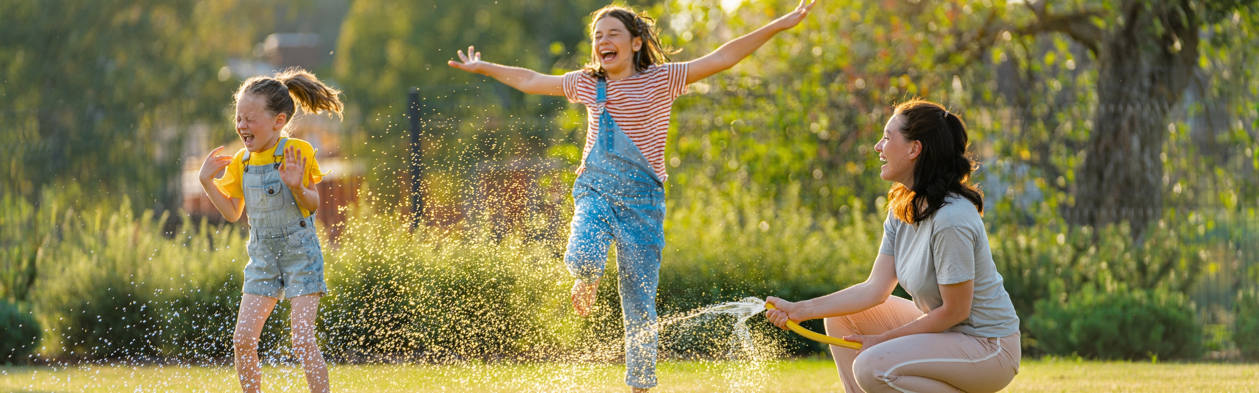 Stump-Grinding-101-_-Martins-Tree-Service