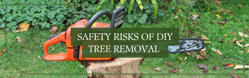 the safety risks of diy tree removal and why professionals are essential