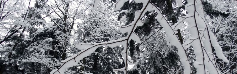 While snow can be a burden, ice brings its own set of challenges.