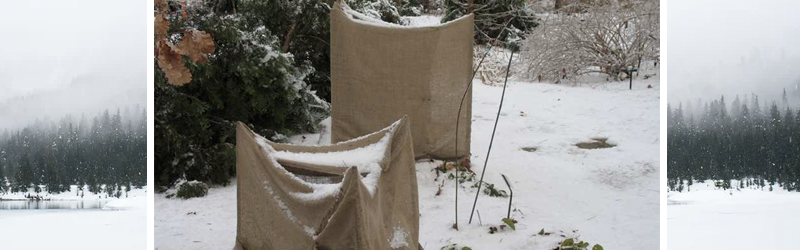 Winter protection cover for plants jute