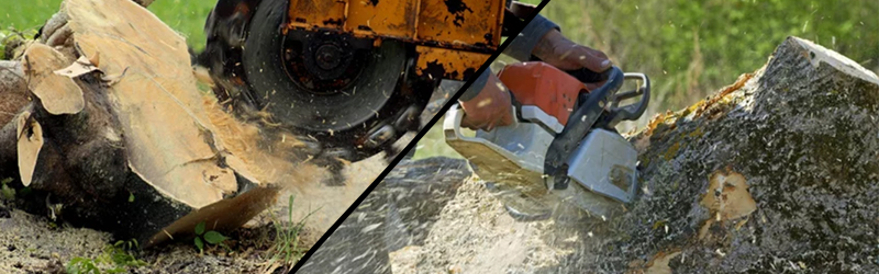 Stump Grinding or Stump Removal