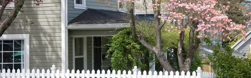 Kitchener Tree Service: 4 Tips To Prepare Trees For Spring