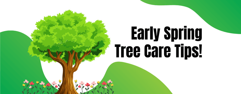 Waterloo Pruning Services: Early Spring Tree Care Tips!