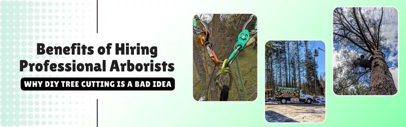 Why-DIY-Tree-Cutting-Is-a-Bad-Idea_-Benefits-of-Hiring-Professional-Arborists