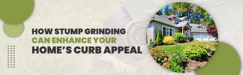 How Stump Grinding Services Can Help Improve Curb Appeal
