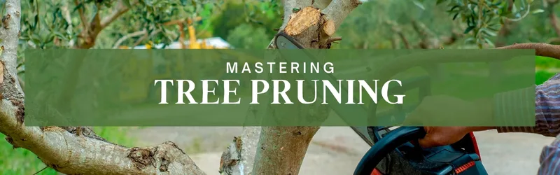 Mastering Tree Pruning_ Expert Tips For Waterloo Homeowners