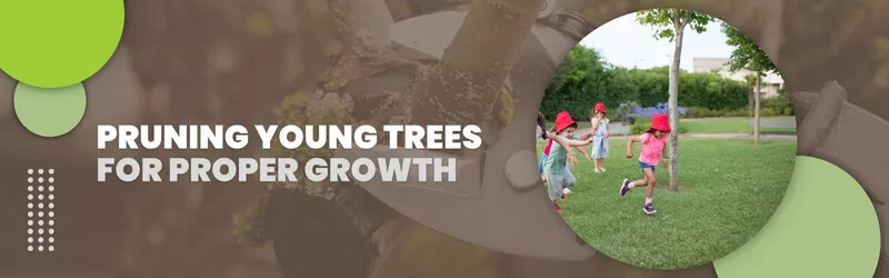 Pruning Young Trees for Proper Growth