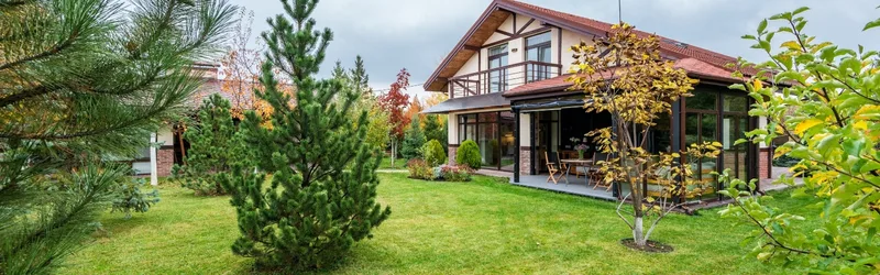 Working with Martins Tree Service for Pruning and Removal - MARTIN'S TREE SERVICE INC. Working with Martins Tree Service for Pruning and Removal