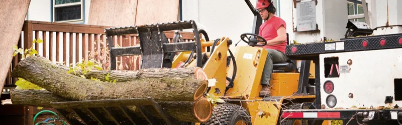 Navigating the Best Seasons content image 1