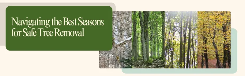 Navigating the Best Seasons for Safe Tree Removal with Martin's Tree Service