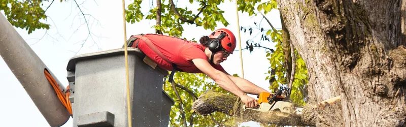 Safety Growth content image