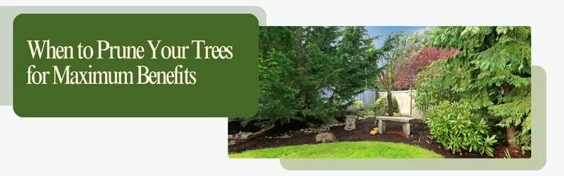 When to Prune Your Trees for Maximum Benefits