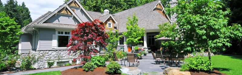 How Removing Damaged Trees Protects Your Property