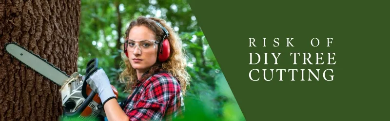 Professional Tree Cutters